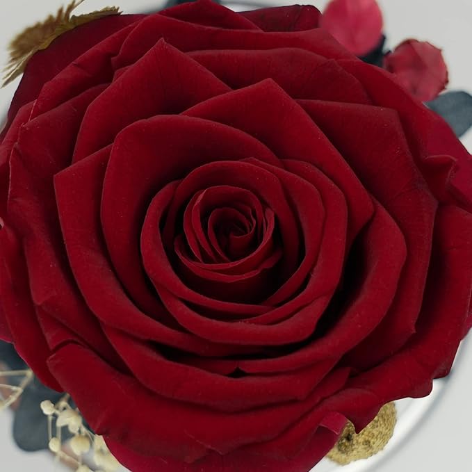 Sunia Preserved Flower Rose Gift for Women - Mother's Day Birthday Gifts for Mom Wife Grandma, Glass Angel Figurines Forever Real Roses Gifts for Her Valentine Day Thanksgiving (Redwine)