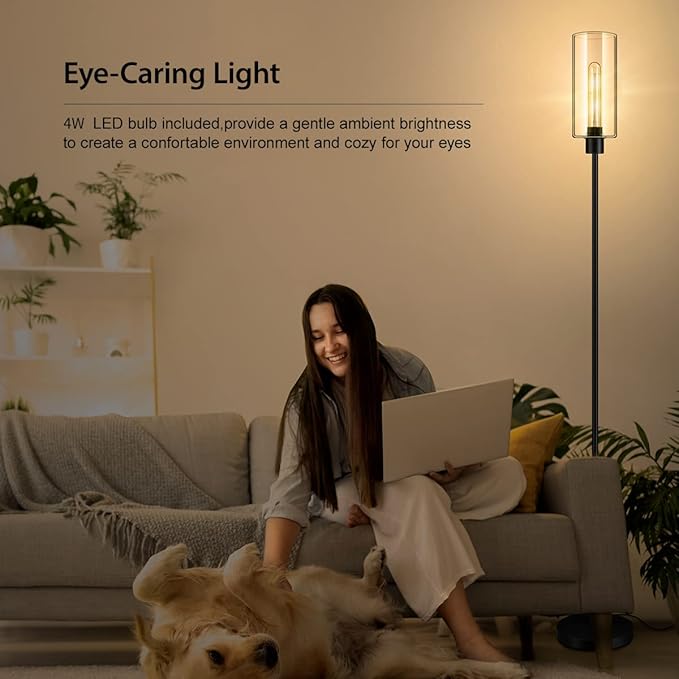 BoostArea Floor Lamp With Glass Lampshade, 4W Bulb Included - Modern Standing Pole Lamp for Living Room, Bedroom, Office, Kids Room, Reading