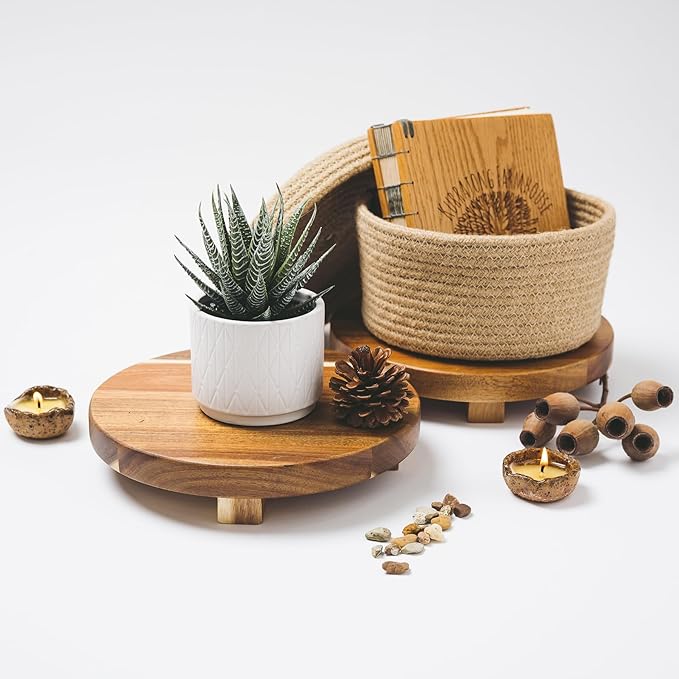 Artificial Succulent Plant in Matte White Ceramic Pot | 6.5" high Dark Green Aloe Plant | Great as desk decor or bathroom decor | beautiful realistic faux succulent with no maintenance