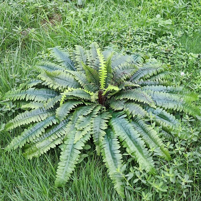 Artificial Ferns for Outdoors & Indoors, 51in Fake Fern Large Plants with 66 Fronds, UV Resistant Faux Greenery Suitable for Entrance Planter Porch Garden Hall Home Office Decor
