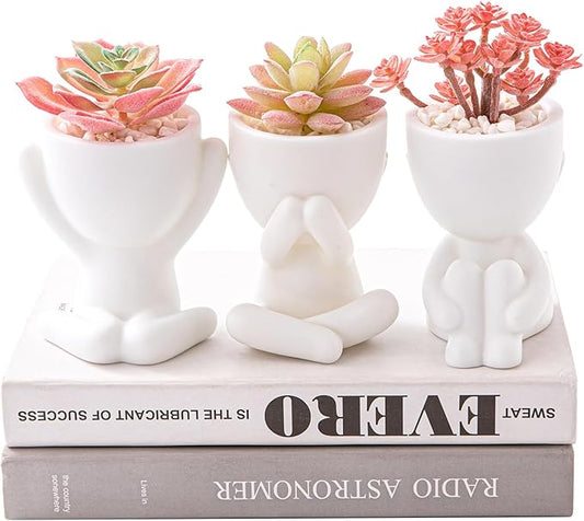 HEYO-YEPY 3PCS Cute Artificial Plant Office Decor for Women and Men, Aesthetic Desk Plant Decor for Office and Home, Potted Small Fake Plants for Indoor Decoration, White Pots Pink Plants