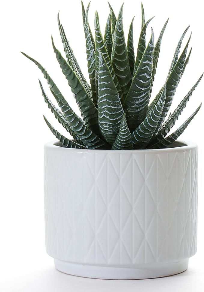 Artificial Succulent Plant in Matte White Ceramic Pot | 6.5" high Dark Green Aloe Plant | Great as desk decor or bathroom decor | beautiful realistic faux succulent with no maintenance
