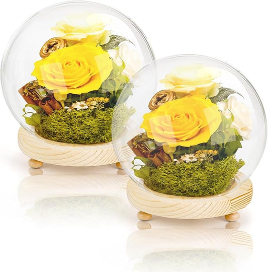 2 Pack Clear Glass Dome Cloche, 6 Inch Decorative Display Bell Jar with Wooden Base, DIY Snow Case Keepsake Showcase for Flower Tabletop Centerpiece Home Christmas Party Decoration