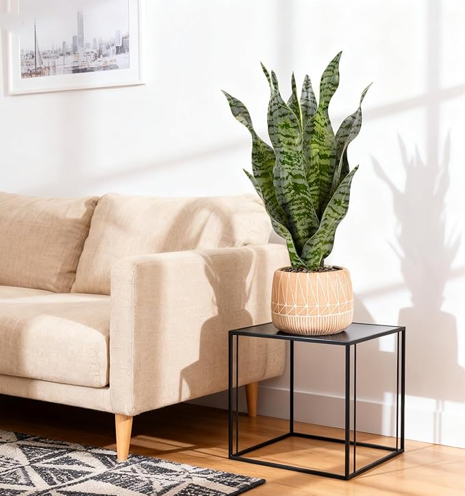 Artificial Realistic Snake Plant 17" with Concrete Pot Fake Snake Plants Sansevieria Greenery Faux Snake Plant for Home Office Living Room Housewarming Gifts Indoor Decor