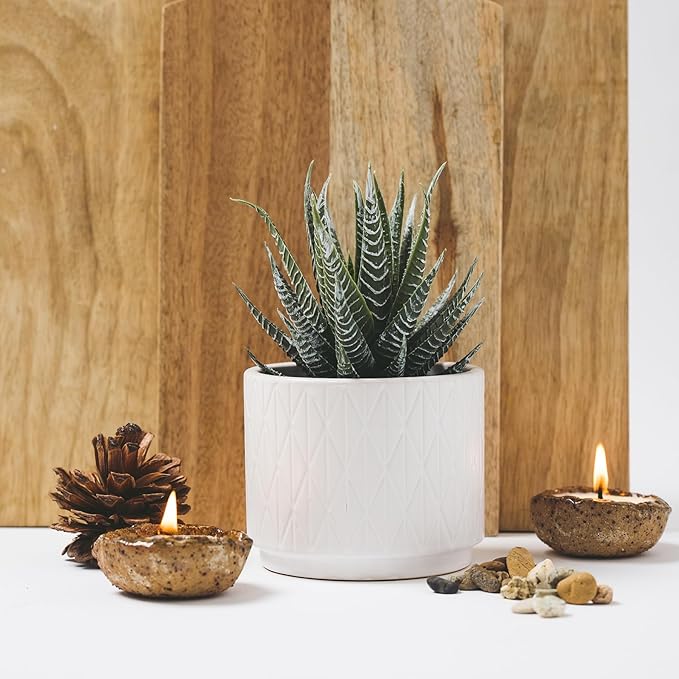 Artificial Succulent Plant in Matte White Ceramic Pot | 6.5" high Dark Green Aloe Plant | Great as desk decor or bathroom decor | beautiful realistic faux succulent with no maintenance