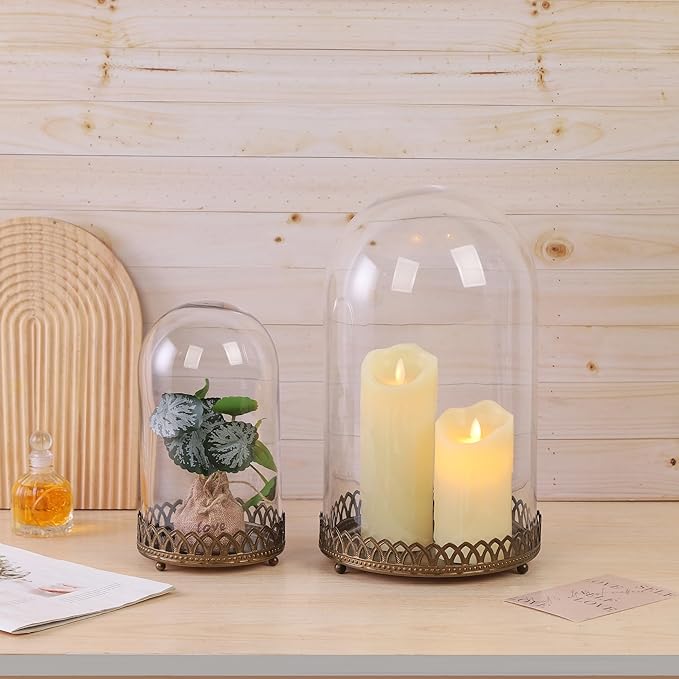 14" Tall Glass Dome with Metal Base Base in Antique Bronze for Terrarium, Plants, Trinkets, Cakes, Figurines, LED Light String, Candle. Cloche Glass Dome, Bell Jar Display Case, Mantle (1, 8"x14")