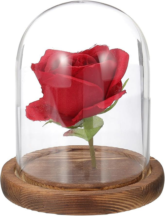 uxcell Glass Cloche Display Dome, 4.7" x 3.5" Glass Dome Display Case, Wood