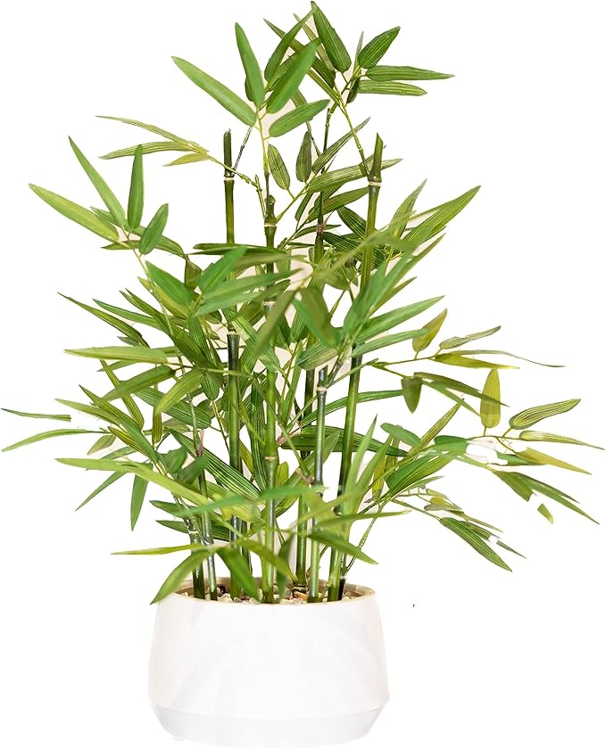 365 Blooming Decor 18 inch Tall White Potted Artificial Bamboo Plant- Luxury Artificial Bamboo Tree in White Pot for Home, Office, Kitchen, Counter Top, Indoor Decor, Money Tree, Lucky Tree.