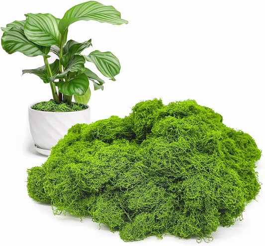Aspamms Fake Green Moss for Potted Plants Indoor, 3.5oz Artificial Moss for Crafts, Faux Moss Decor for Fairy Garden, DIY Decorative, Model Making, Walls, Glass Containers, Home