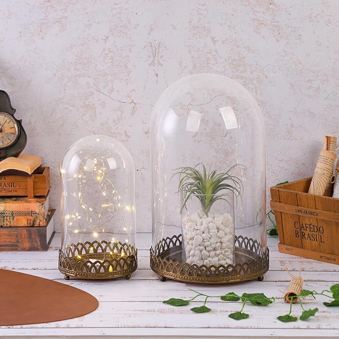 14" Tall Glass Dome with Metal Base Base in Antique Bronze for Terrarium, Plants, Trinkets, Cakes, Figurines, LED Light String, Candle. Cloche Glass Dome, Bell Jar Display Case, Mantle (1, 8"x14")