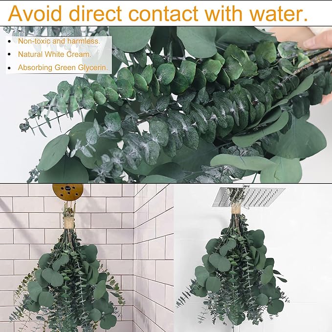 25 Pcs Preserved Dried Eucalyptus Stems & Silver Dollar Leaves Bundle, Natural Real Fresh Eucalyptus, 17" Preserved Eucalyptu Branches for Shower Hanging, Bathroom Decor, Garland, Greenery Plant