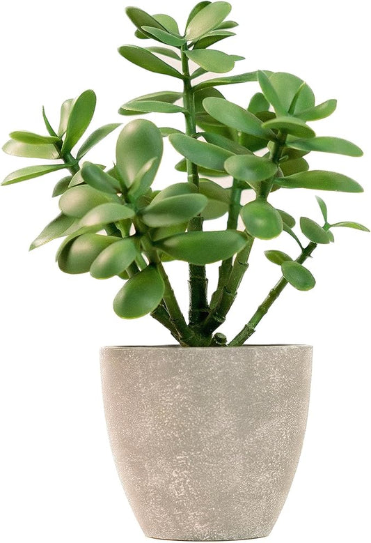 365 Blooming Decor 12” Artificial Jade Plant in Minimalist Gray Pot, Luxury Real-Touch Faux Succulent Crassula Ovata with Pebbles, Realistic Money Tree for Indoor Home & Office Decor No Assembly