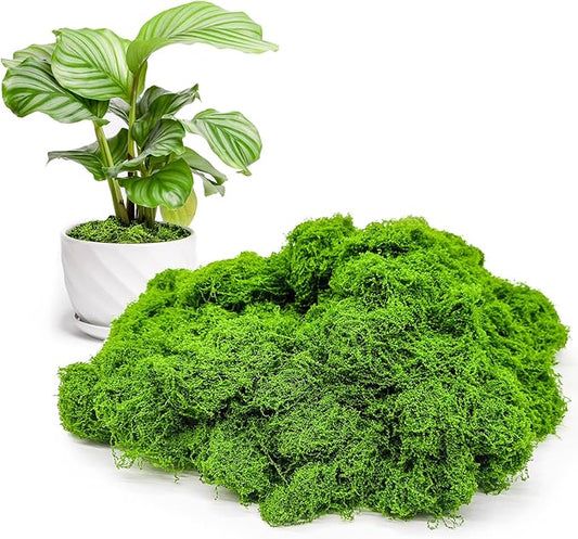 Fake Green Moss for Potted Plants Indoor, 5.3oz Artificial Moss for Crafts, Faux Decor for Fairy Garden, DIY Decorative, Model Making, Walls, Glass Containers, Home