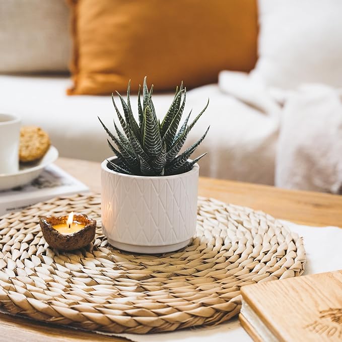 Artificial Succulent Plant in Matte White Ceramic Pot | 6.5" high Dark Green Aloe Plant | Great as desk decor or bathroom decor | beautiful realistic faux succulent with no maintenance