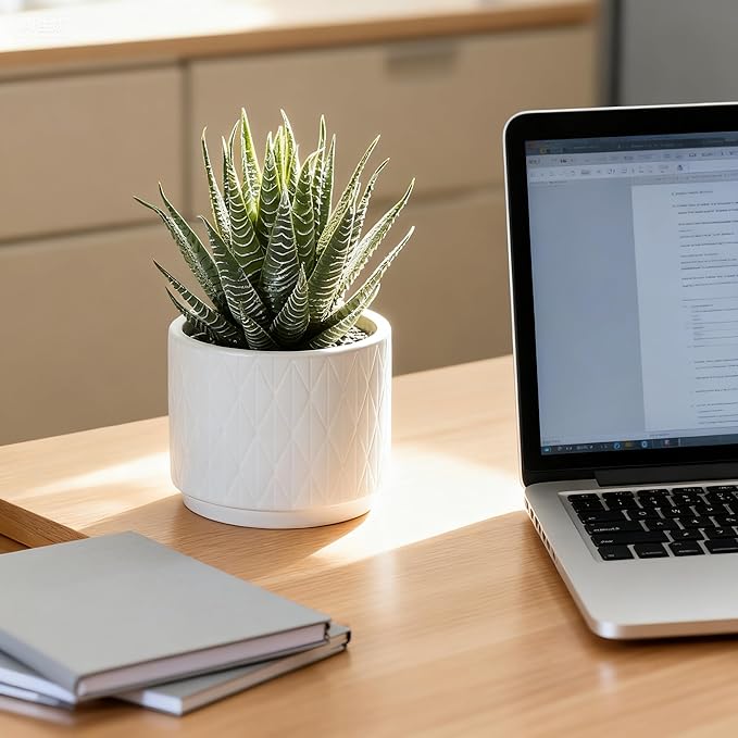 Artificial Succulent Plant in Matte White Ceramic Pot | 6.5" high Dark Green Aloe Plant | Great as desk decor or bathroom decor | beautiful realistic faux succulent with no maintenance